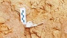 古人类研究重大进展：三门峡发现100万年前石制品