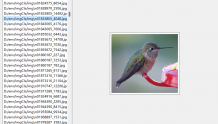 113.Python-PaddleHub图像分类项目打包一例