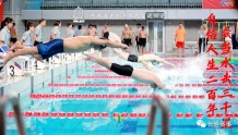 诗词海报回顾陕西省直机关运动游泳比赛