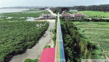 红树林中的“彩虹”光伏——湄洲岛全力打造全国首座“零碳岛”