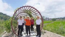 涵江大洋：探索农田党建，让“荒地”变“良田”