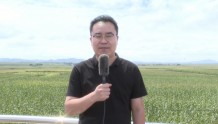 甘肃会宁：高标准农田建设赋能乡村振兴