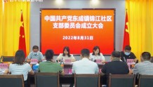 恩平市东成镇锦江社区党支部揭牌成立