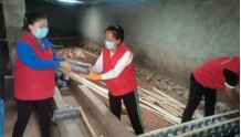 库尔勒市：蘑菇产业撑起村民“致富伞”