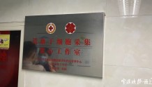  第139例！23岁护士成宁波目前年龄最小的造血干细胞捐献者