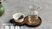 茶友提问：如何判断自己适不适合喝老白茶？