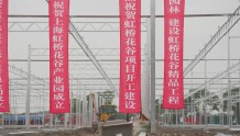 市级花卉产业综合体，上海“虹桥花谷”项目在青开工→