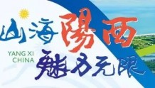 阳西县妇联党支部开展“七一”主题党日活动