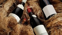 英媒：气候变暖，让英国一些不产葡萄酒的地区开始生产葡萄酒