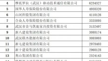 2022武汉民企100强、民营制造业企业50强名单出炉