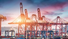 珠海港半年报：港航物流业务营收大降，新能源板块增长迅速