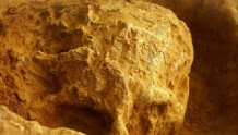 权威快报丨湖北发现迄今欧亚内陆同时代最为完整的直立人头骨化石