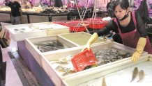 汉产淡水鱼批量入市 品种多样供应充足 亲民价或持续到年底