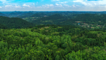 坚持“三绿”并进 四川乐至打造川中丘区林业高质量发展样板
