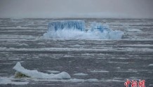 南极，70多人感染新冠