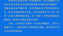 河南村镇银行案已逮捕234名嫌疑人