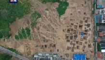 江苏连云港考古新发现一处大规模墓葬群